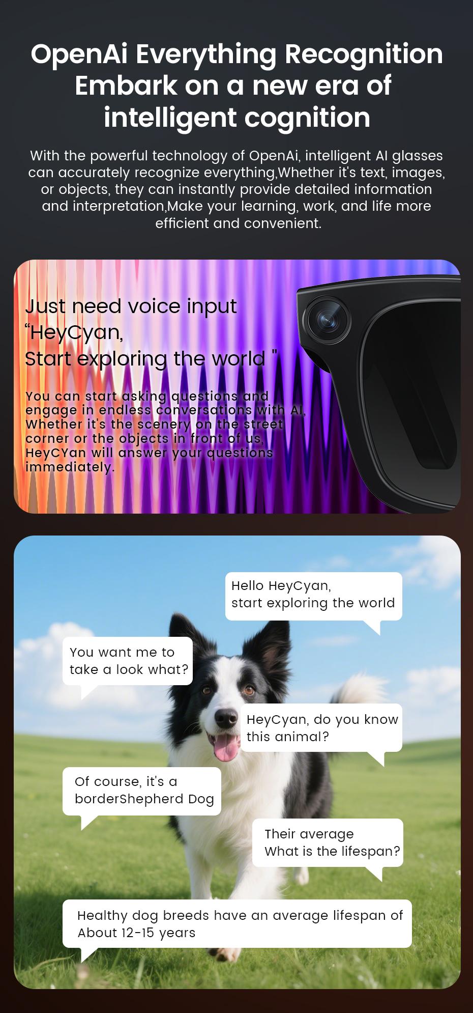 Electrochromic Smart Touch Control Camera Glasses 8MP Full Array Mic Voice Call Touch Sensitive Adjustment Perfect Christmas Gift for Tech Lovers Digital Wearable Electrochromic Smart Touch Control Camera Glasses 8MP Full Array Mic Voice Call Touch Sensitive Adjustment Perfect Christmas Gift for Tech Lovers Digital Wearable