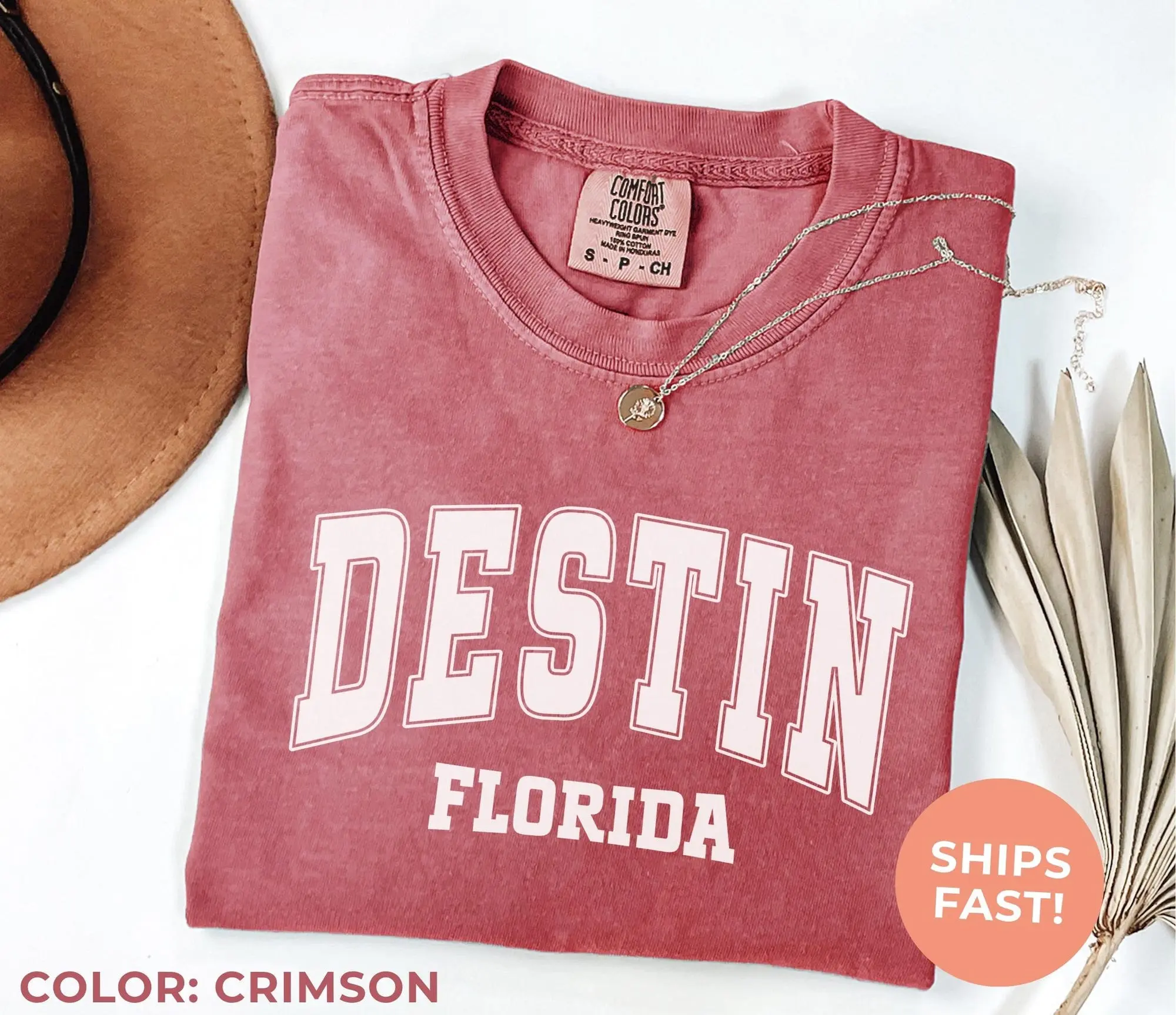 Destin Comfort Colors Shirt, Florida Travel Gift, City Shirt, Day Trip Shirt, Vacation Tee, Home State Gift Shirt, Retro College Tshirt