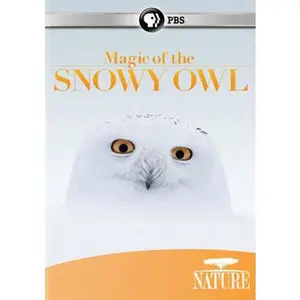 USED-Nature: Magic of the Snowy Owl (DVD)