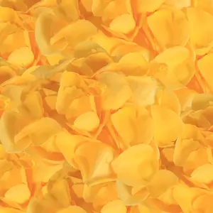 Rose Petals Yellow Fresh Premium Ecuadorian Import 10 Bags 500 Petals Each Ideal for Weddings and Events Free Delivery USA