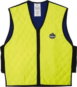Ergodyne Sleeveless Lime Cooling Vest, Size L, 38-42 in Chest, Zipper Front, Nylon Work Safety Equipment, Model 12534