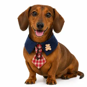 Dog & Cat Cartoon Denim Plaid Collar with Adjustable Tie, Bowtie & Bandana - Pet Neck Accessory, Pet Clothing Dog Bandana bow