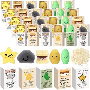 25 Sets Appreciation Gifts Cute Stress Balls with Support Boxes Bulk Party Favors for Employee Coworker Team Group Stuffers Office Prizes Positive Desk Decor