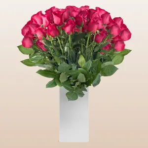 Fresh Roses Hot Pink 60cm Long Stem Premium Ecuador Imported Graceful Gentility Ideal for Event Wedding Gift 100 Stems 8-15 Days Vase Life Fresh Direct from Grower