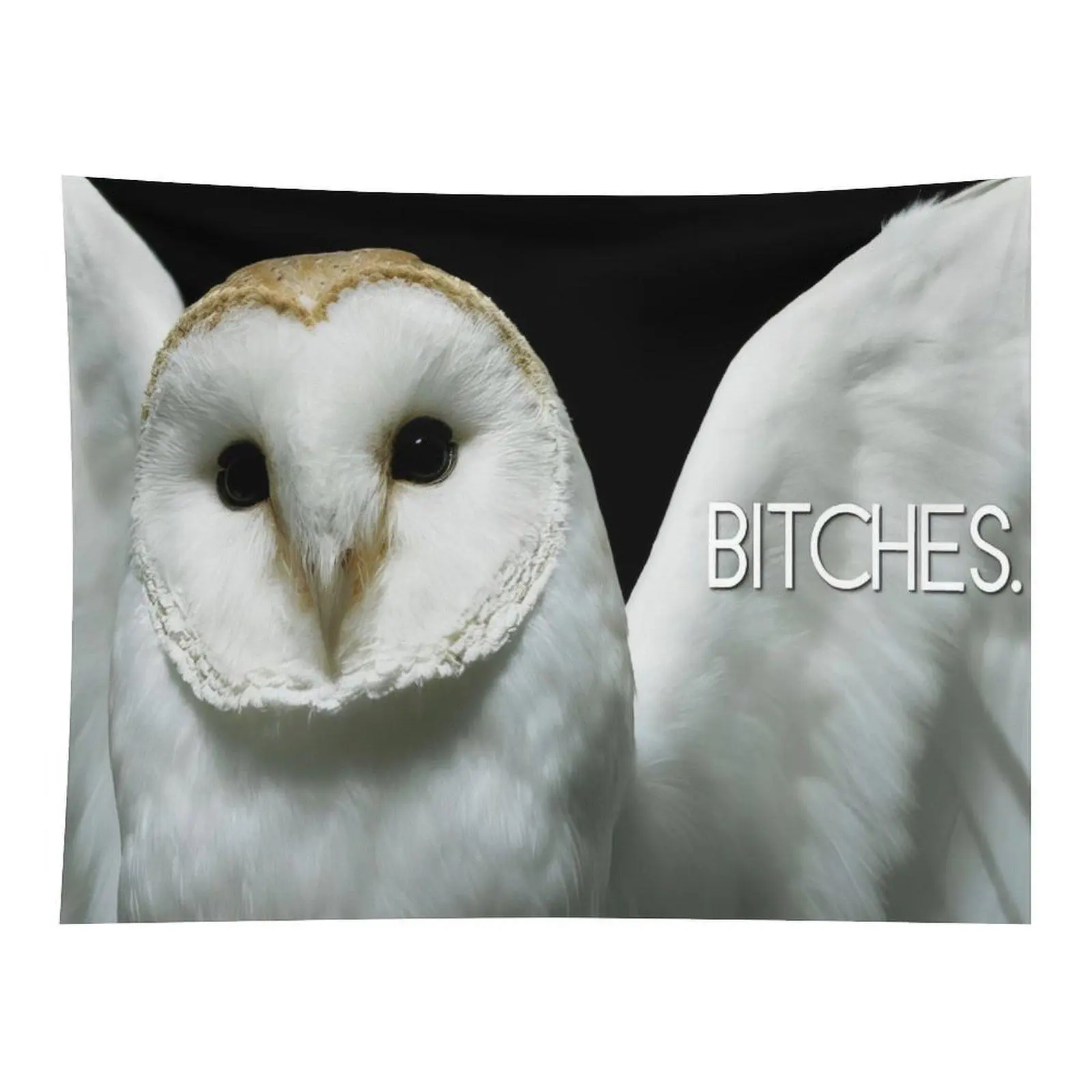 Barn Owl Portrait With Sassy Humorous Slogan Wall Tapestry White Owl On Black Background Meme‑Style Art For Dorm Bedroom Fun Wall Hanging Decor