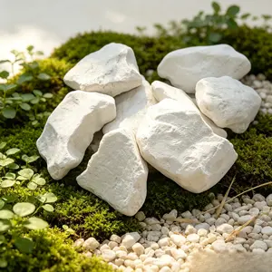 Natural Gray White Kaolin Clay for Garden Soil, Edible, 0 Additives, Cosmetic Grade - 4oz (113g)