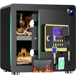 TnTants 2.0 Safe Box for Home Security with Digital Keypad Removable Shelf LCD Screen Fireproof Waterproof Bag Heavy Duty Locks