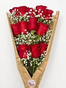 12 Red with baby breath