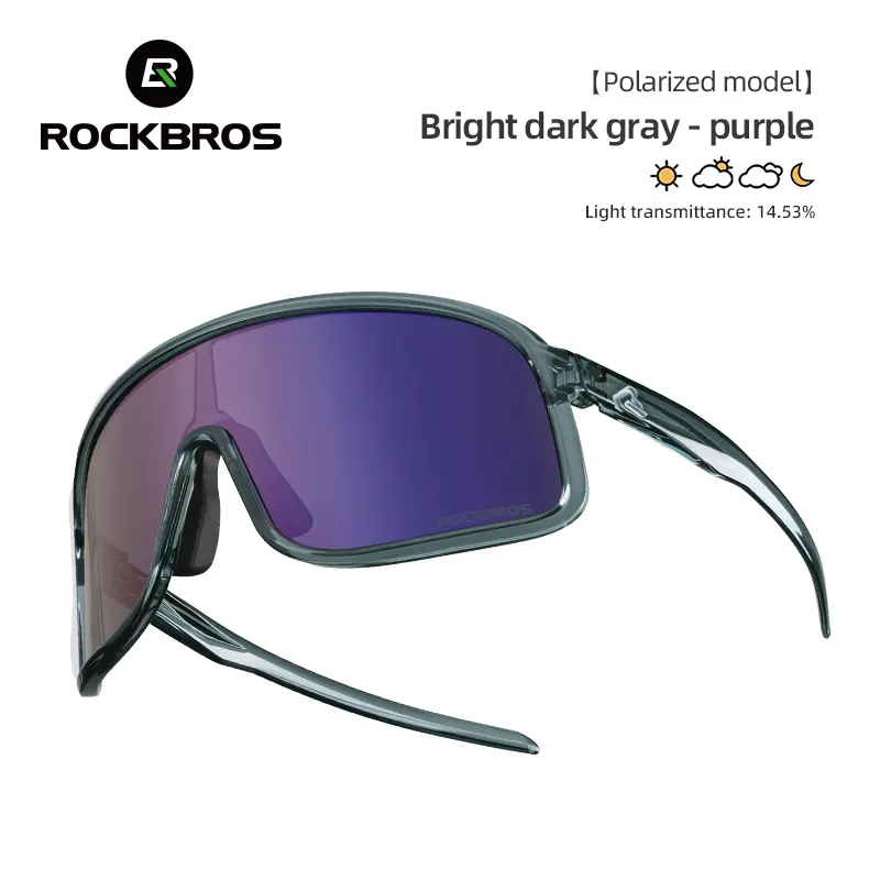 Dark Gray Purple(Polarized lens)