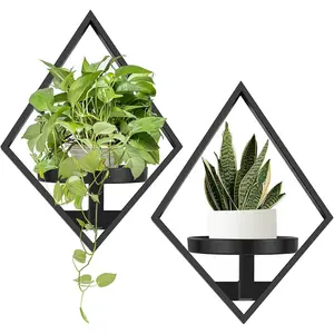 Wall  Holder, 2 Pack Metal Floating Shelves Indoor, Window Sill  Shelf for Bedroom Bathroom Living Room  Office