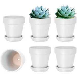 4 Inch White Terracotta  Pots with Saucer - 6 Pack Clay Flower Pots with Drainage,  for , Crafts, Wedding Favor