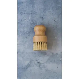 Scrub Brush