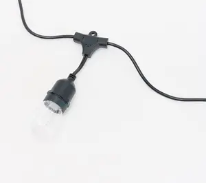 20' Color Flip Bistro Lights by Kim Gravel