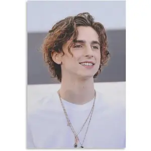 Timothee Chalamet Wall Artistic Poster 9 Living Room Printing Oil Painting Interior Decoration Poster