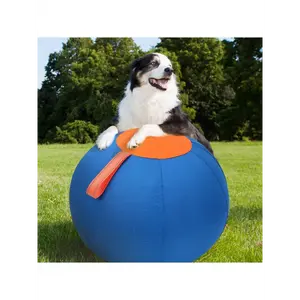 Pet Inflatable Big Ball Toys, A Full Set Of Dog Balls, Golden Hair, Bite Resistant Balls, Boredom Relieving Balls, Corgi Self Hi Pet Training Balls, Dog Toys For Dogs, Cattle Dog Horse Balls