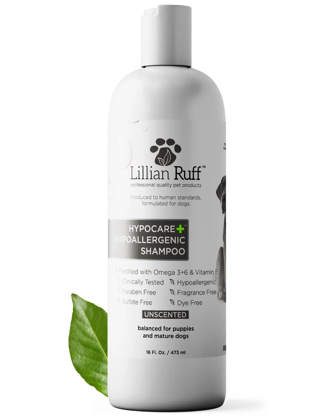 Lillian Ruff HypoCare+ Hypoallergenic Shampoo for Dogs - Clinically Tested, Made in USA (16 oz)​