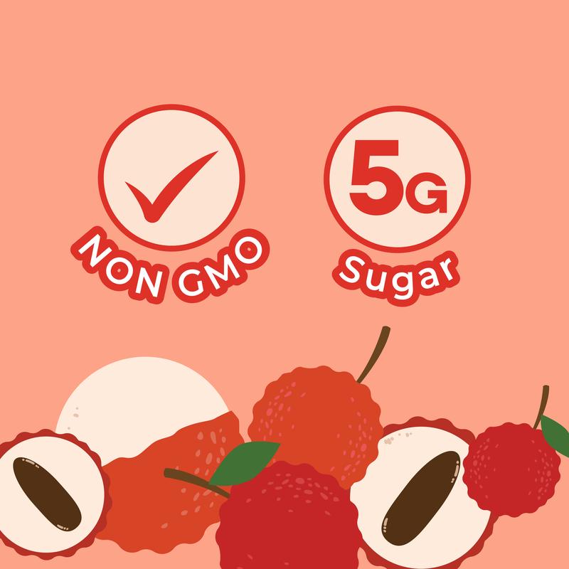 Jans Sparkling Prebiotic Soda Beverage – Low Calorie, No Added Sugar – Non-GMO Sparkling Fruit Beverage – Gut Health Support – Naturally Refreshing Canned 8.4Fl Oz