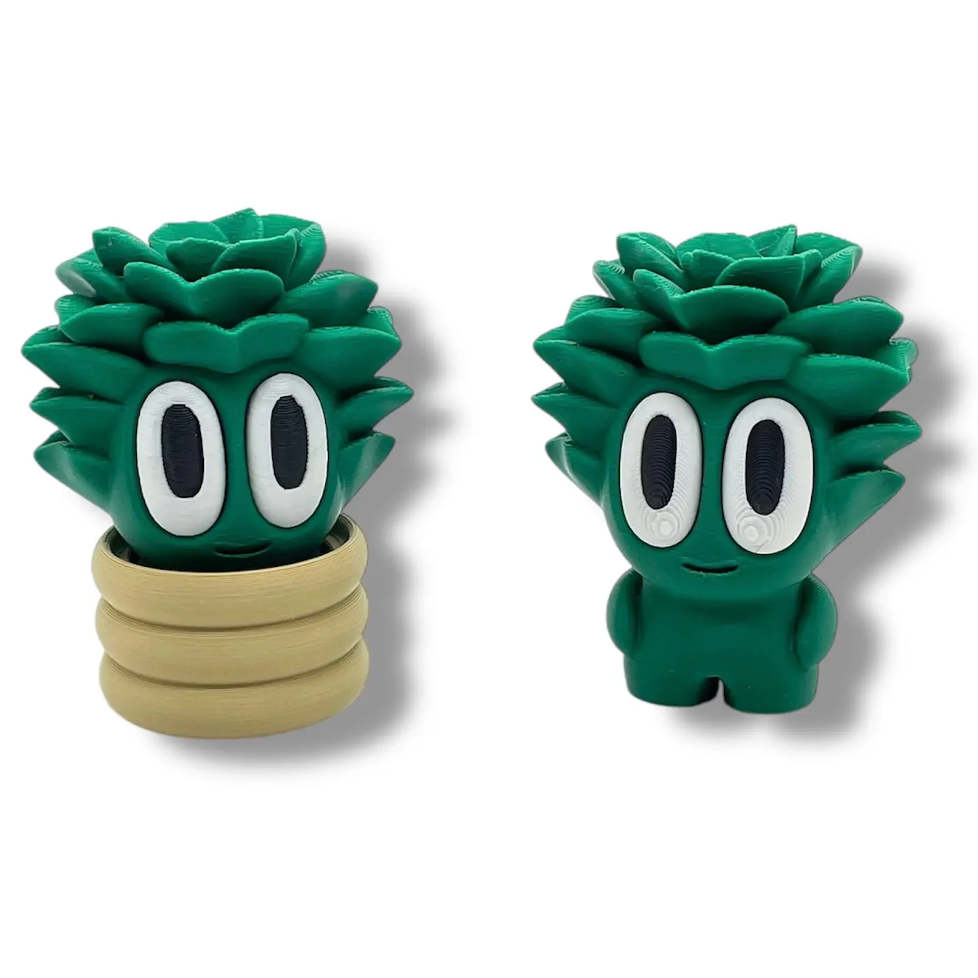 SMALLZ Succulent Plant Green