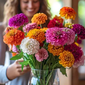 Zinnia & Dahlia Flower Seeds for Planting 2026 - Non-GMO, Beginner-Friendly, Fast-Growth Gardening Seeds for Family Projects, Flower Beds, Pollinator Gardens, Borders & Containers