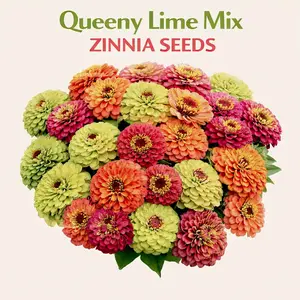 Queeny Lime Mix Zinnia flower seeds, Packets of 15,25,35,50, Beautiful Cut Flower, Easy to Grow all summer