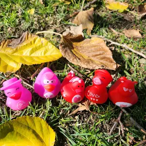 Valentines Day 5pc Light-Up Ducks - Pink, Red, Purple, Pink & Red Designs with Light-Up Feature for Valentine's Day Celebrations