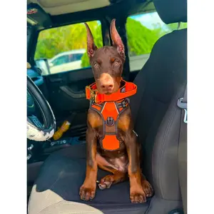 Dog Collar 3.8 inch – Cane Corso, Pitbull & Rottweiler