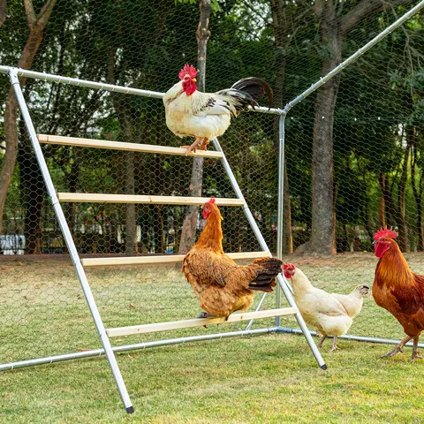 PETSFIT Large Solid Wood Square Chicken Roosting Perch - Single Backyard Poultry Coop Accessory, 4-Layer Tiered Galvanized Iron, Geometric Bars, Widened Foot Relief, Smooth Edges, Rustproof, Easy Assemble/Clean, 55in L x 40in W Outdoor Perching Play Tool