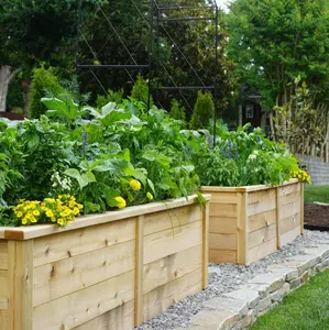 Gardenary Cedar Raised Garden Beds with Trim - Handcrafted in USA, Premium Untreated Cedar, Easy Assembly, Multiple Sizes for Any Garden Layout, Long-Lasting Durability, Perfect for Kitchen Gardens