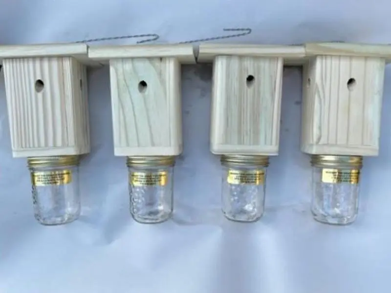 Best Carpenter Bee Trap -Carpenter Bee Trap -Wood Boring Bee Trap - Patented Carpenter Bee Trap for Outdoors -Chemical Free - Shipping