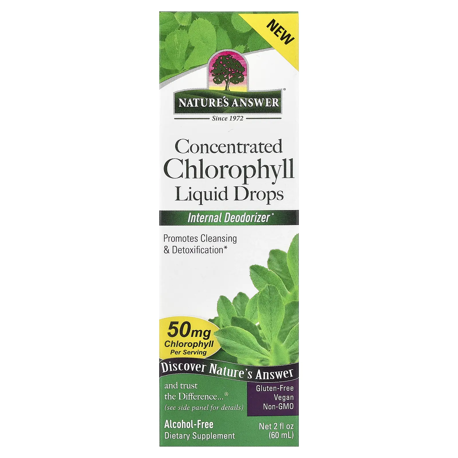 Nature's Answer Concentrated Chlorophyll Liquid Drops, Alcohol-Free, 2 fl oz (60 ml)