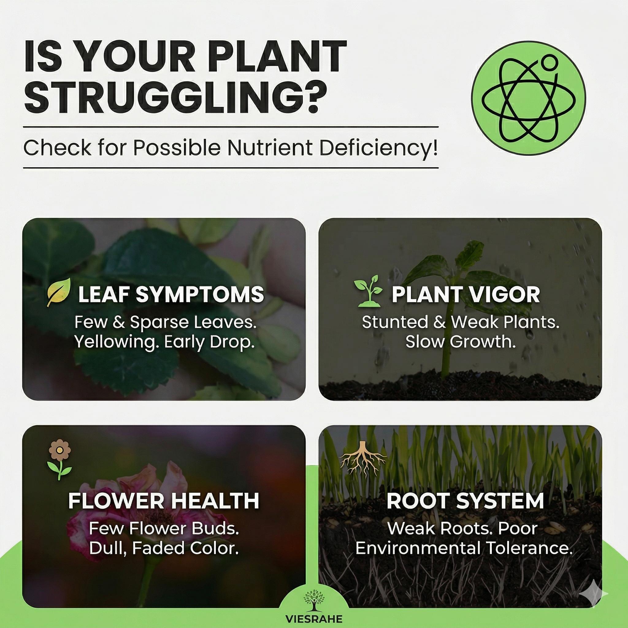 Slow-Release All-Purpose NPK Fertilizer Sticks Nutrient Sticks for Flower Cultivation For Household Potted Green Plants & Flowers