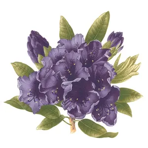 Purple Rhododendron Flowers Overglaze Ceramic Decals