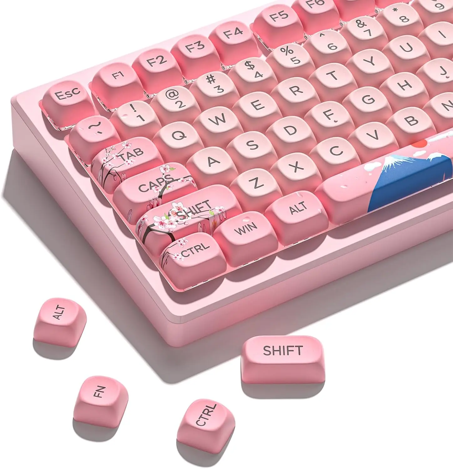 Blossom Cherry Keycaps,MOA Cute 131 Womier meeer♡ keycap for Set その他