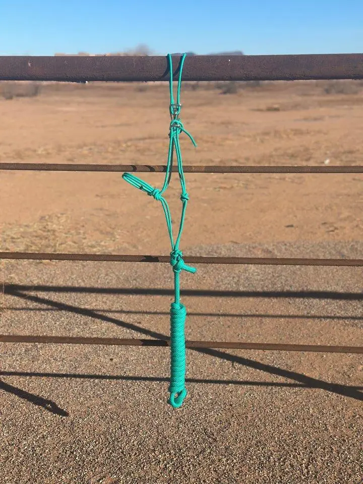 Turquoise Easy Hook Halter - Standard horse sized rope halter for training everyday use