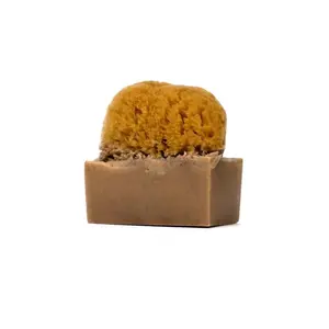 Coffee Sea Sponge Soap Exfoliator Aroma Body Care