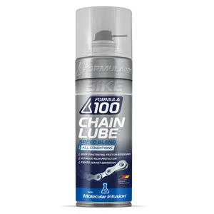 All Conditions Chain Lube - 300mL Aerosol Bottle