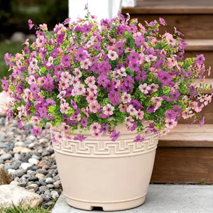 24pcs Pink And Lotus Color Violet,Outdoor Decor Artificial Flowers, Fake Silk Colorful Violets, UV-Resistant, Mixed Colors, for Porch Garden，Balcony，Courtyard Indoor Spring Decoration