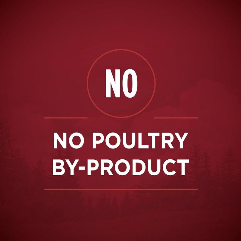 Purina ONE True Instinct Tender Cuts in Dog Food Gravy with Real Beef & Wild-Caught Salmon - Pack of 12 13 oz Cans Pet Products