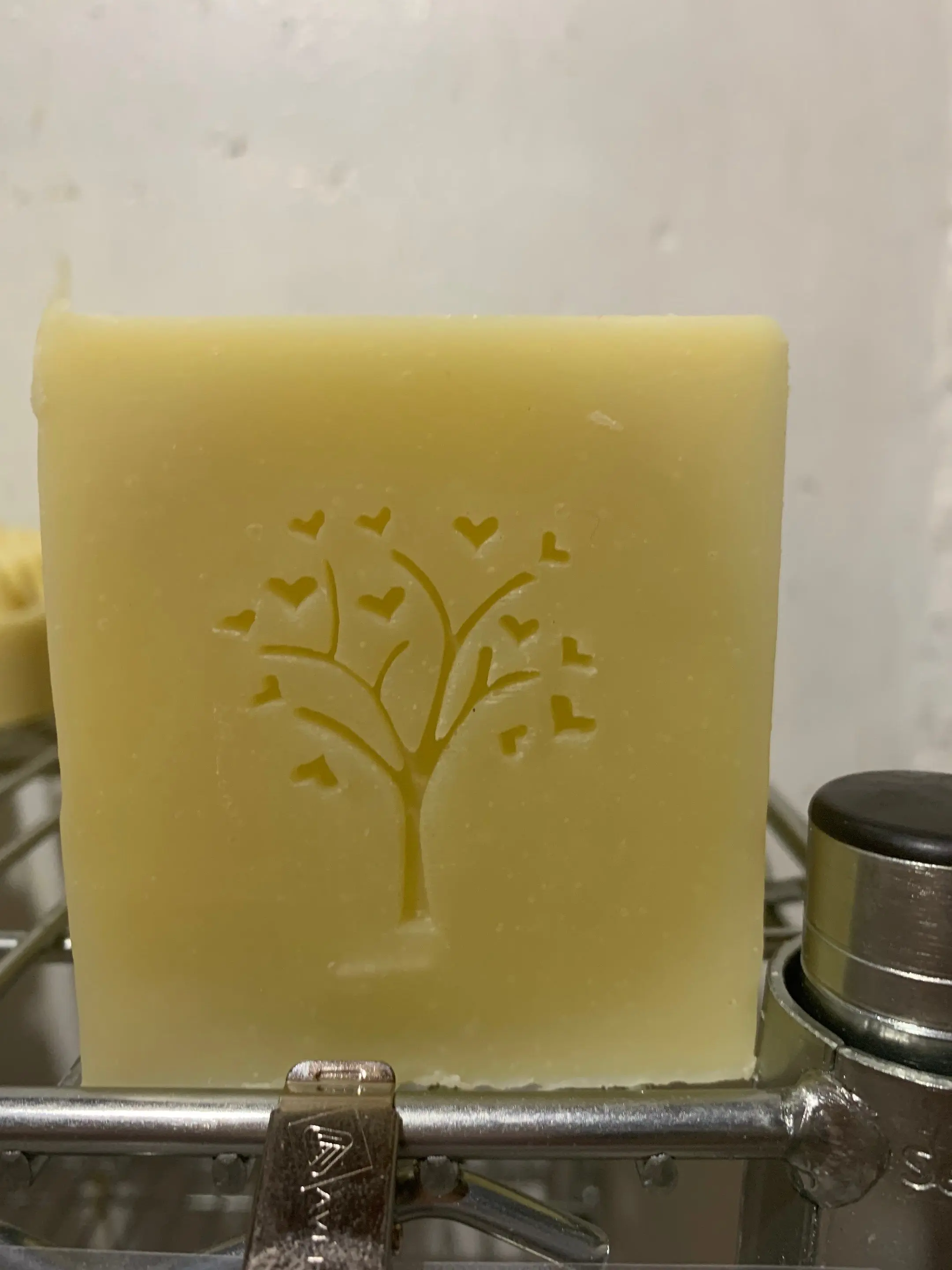 Tallow Shampoo Bar - Garden Bite