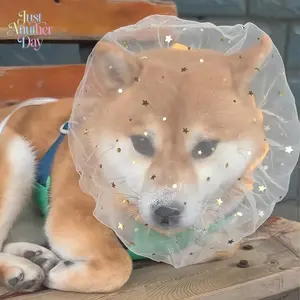 Star Tulle Dog Face Cover - Anti-Mosquito & Anti-Eating Pet Headgear, Breathable Mesh Veil for Small/Medium Dogs, Cute & Protective Outdoor Accessory