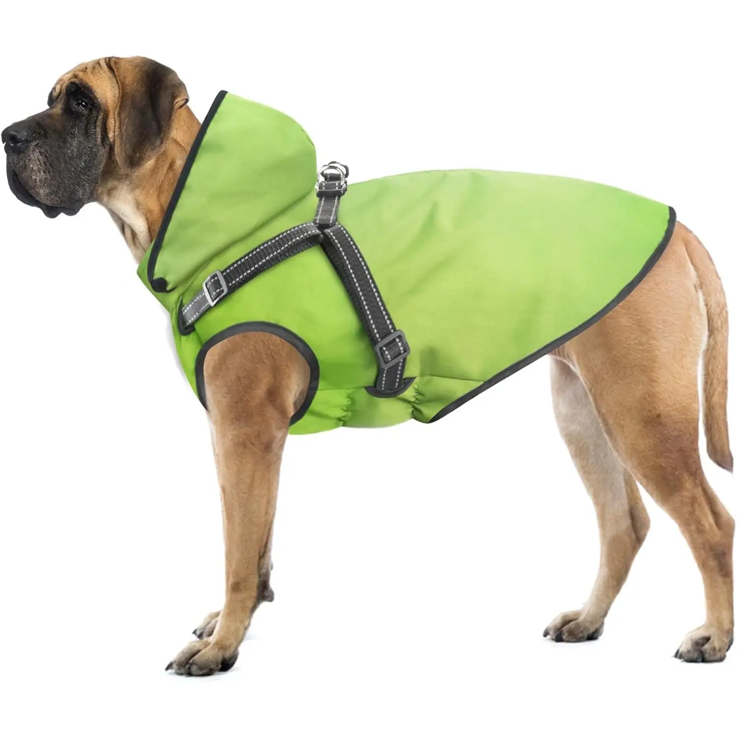 Waterproof Dog Raincoat with Hood, Adjustable Outdoor Rain Jacket with Reflective Strips for Small to Large Dogs, Green S, Hooded