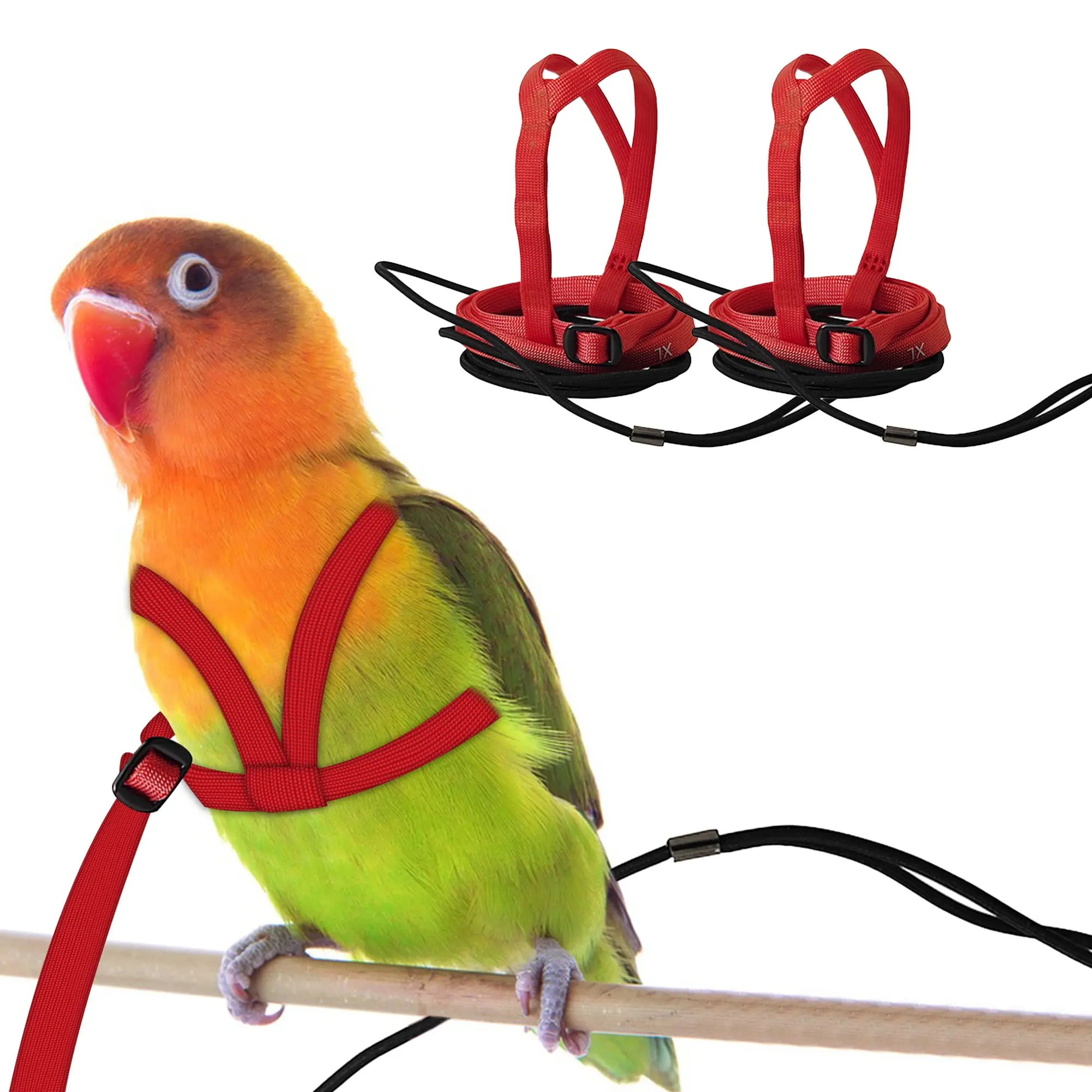 2 pcs Pet Parrot Bird Harness and Leash, Adjustable Training Design Anti-Bite, Outdoor Flying Training Rope Kit for Bird Parrots Fits Birds Chest
