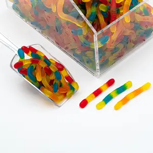 Sugar-Free Gummy Worms - Chewy Gummy - 4oz 8oz 1 lb Candy Bag