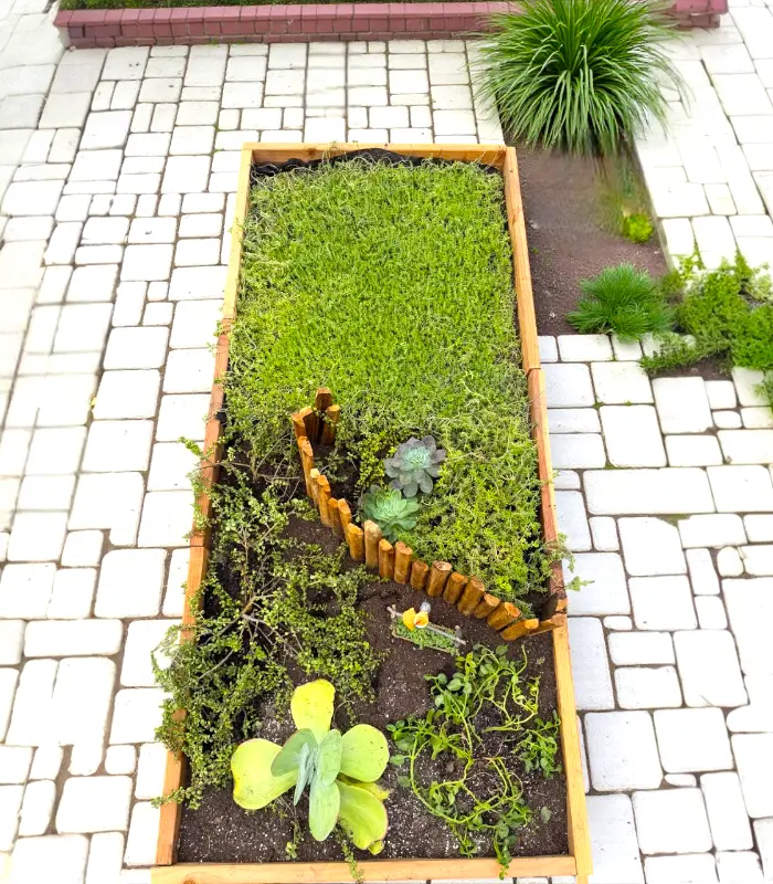 pots for house plants Large Aquarium Wicking Pot – Self Watering Planter