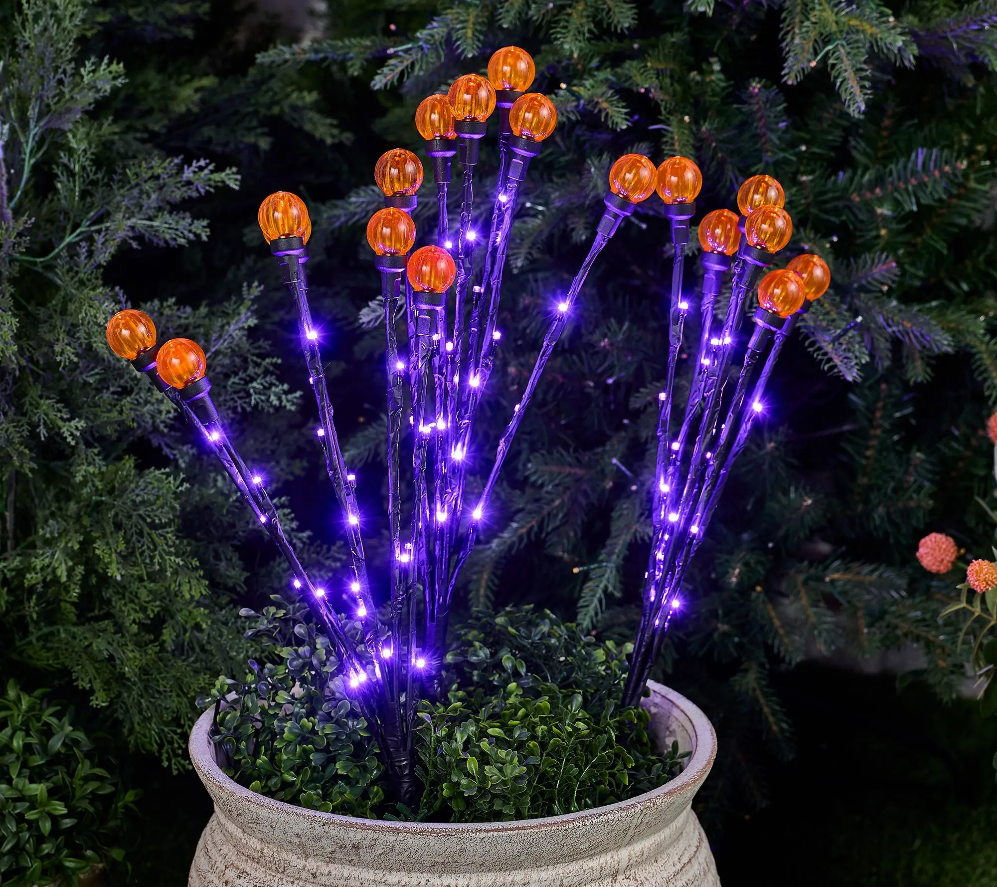 Martha Stewart Set of 3 Indoor/Outdoor Globe Light Branches