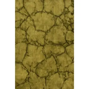 Sleek Cozy Green Hand Knotted Wool Rug