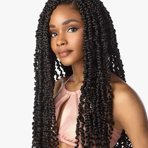 Passion Twist 24″ Lulutress Color 1B - Elegant Braided Design in Assorted Colors