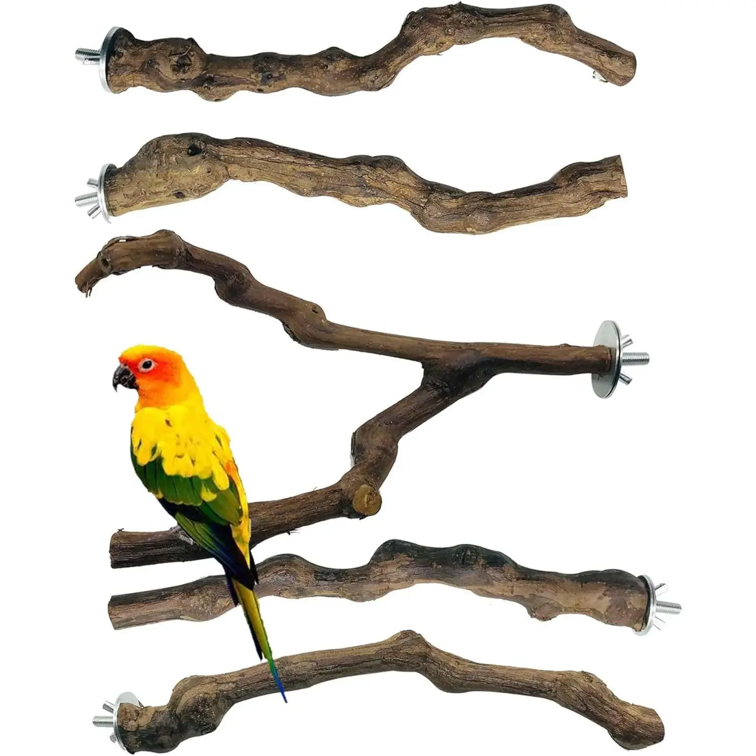 5-Piece Natural Grapewood Perch Set with Chew-Safe Cage Swings, Suitable for Small Parrots, Budgies, Finches