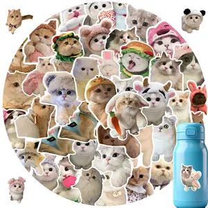 65 Pet Cat Stickers for Phone Cases, Laptop Skins, Notebooks, Scrapbooks, Decorative Adhesive Decals for Multiple Items