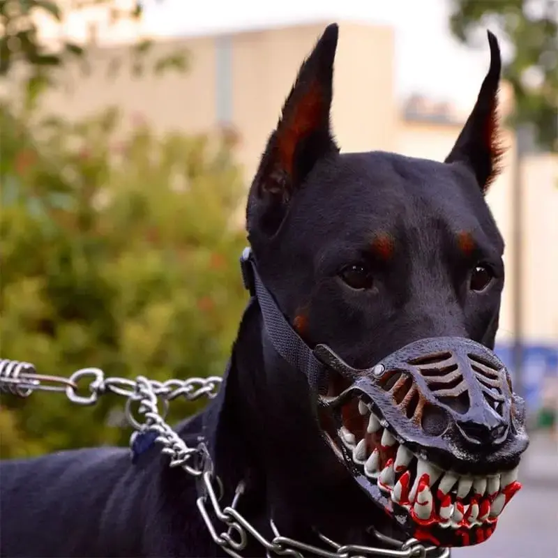 Dog Muzzle Halloween Costume Accessory - Lightweight Latex Freaky Mask with Lifelike Teeth, Adjustable Breathable Cover for 12"-18" Necks, Funny Video Use (Pet Supplies Conventions Compliant)